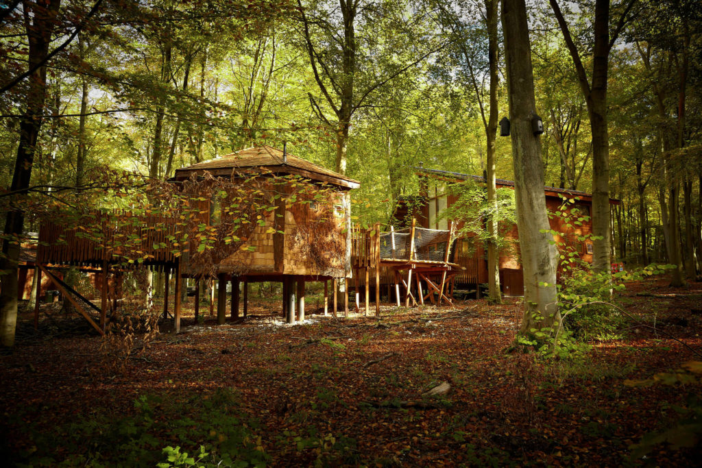 golden Oak Treehouse Forest Holidays