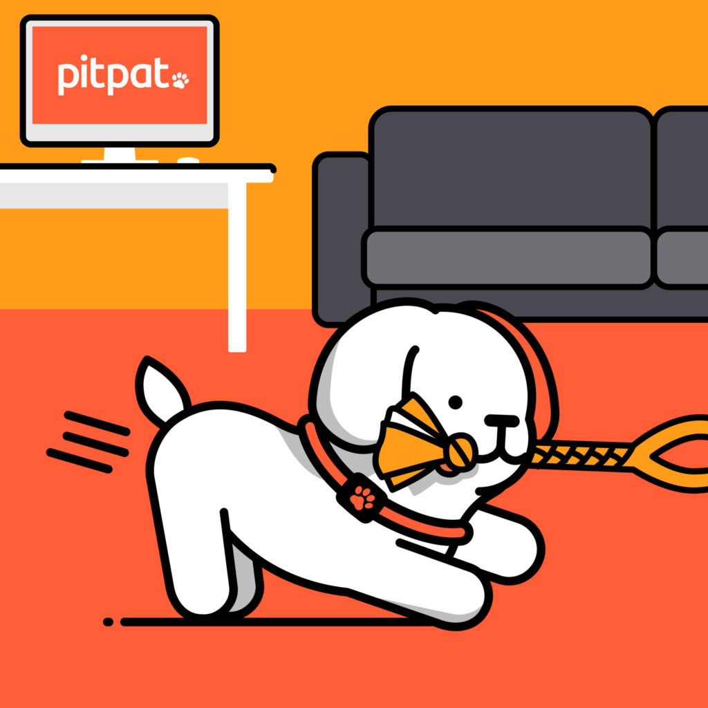 PitPat mascot Patch pulling a toy in the living room