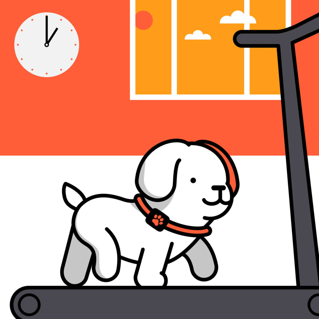 PitPat mascot Patch on a treadmill