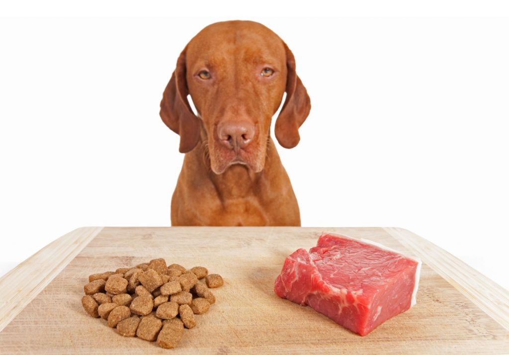 Pet food manufacturers discount