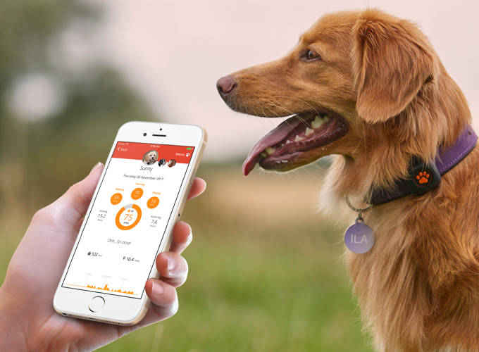 Give the gift of walkies with PitPat Life Membership | PitPat