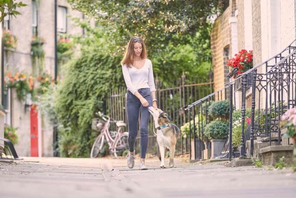 Woman walking a dog