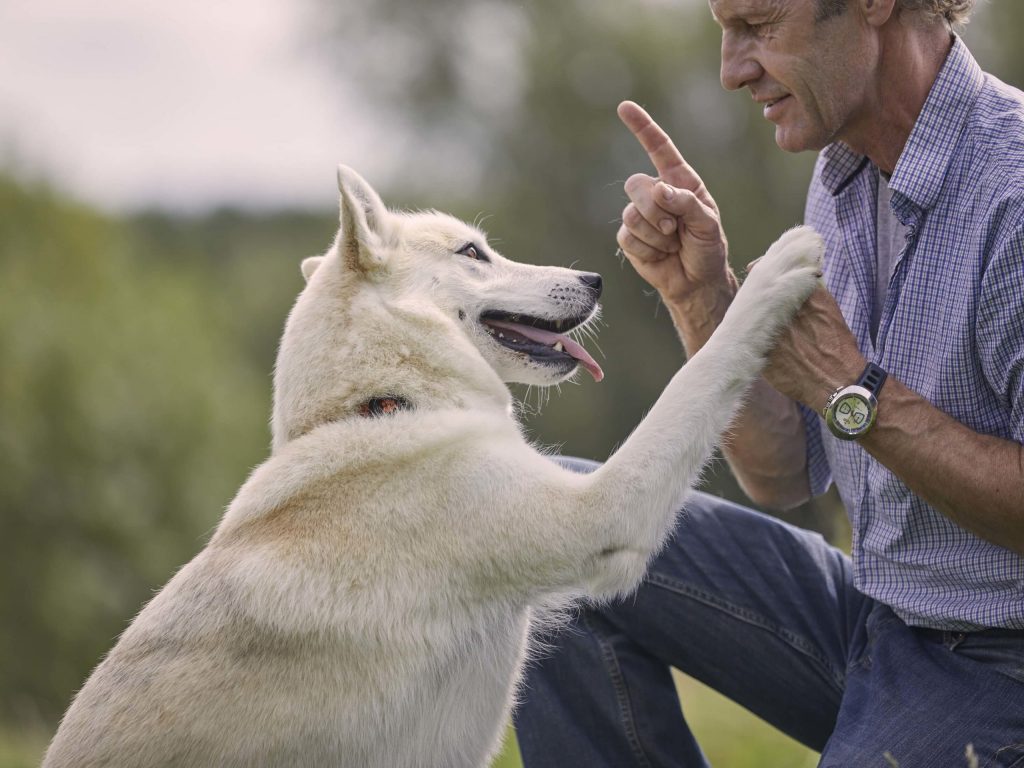 White dog with paw on a man wearing a PitPat Dog Activity Monitor