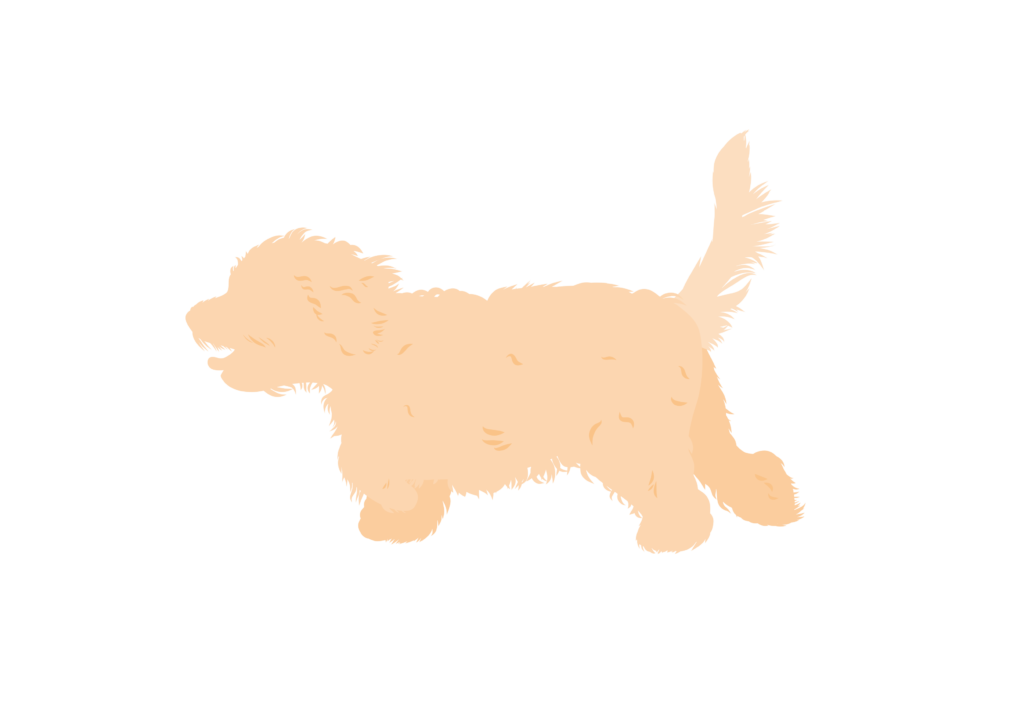 Cockapoo silhouette