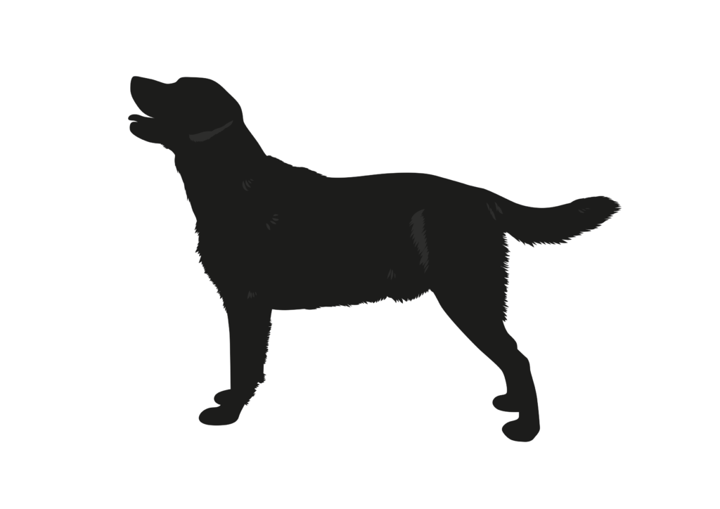 Labrador Retriever silhouette