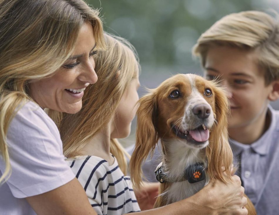 Family hugging a dog