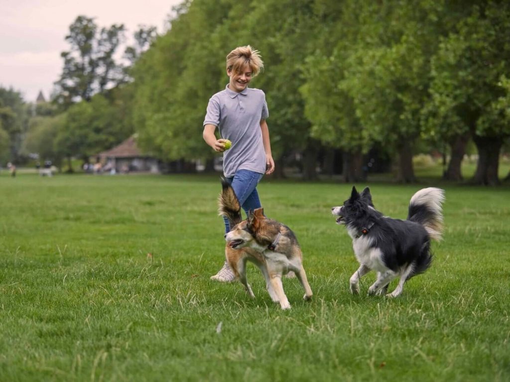 Boy running with two dogs in a field