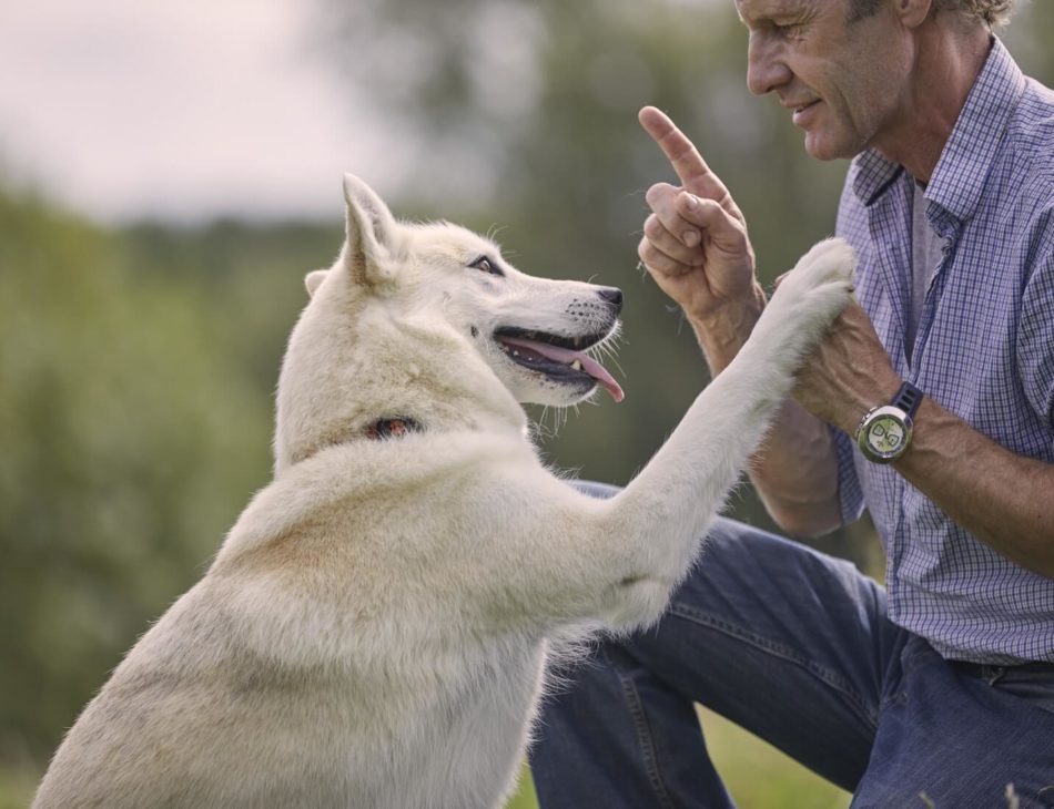 Man holding paw of white dog