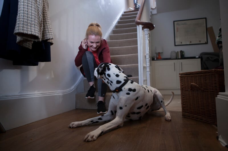 Dalmatian and owner getting ready for a walk with the Dalmatian wearing a PitPat Dog Activity Monitor
