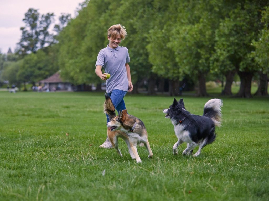 Boy running with two dogs