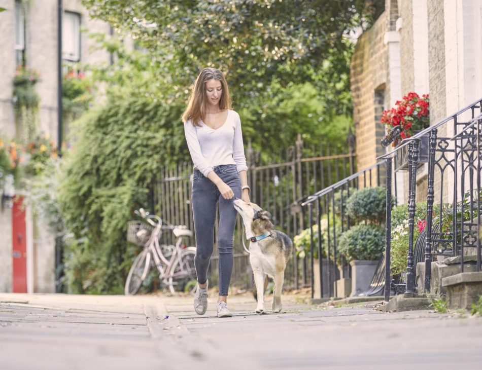 Woman walking a dog