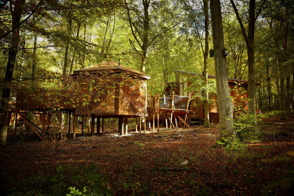 Goldne Oak Treehouse Forest Holidays