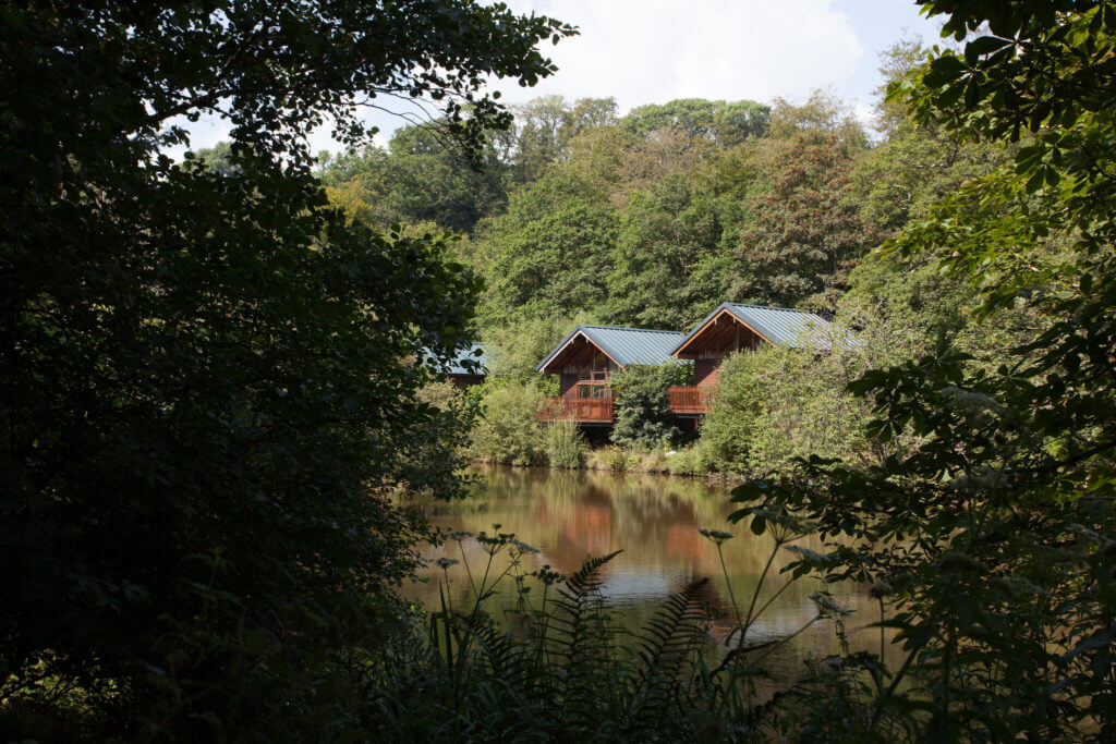 Deerpark Cornwall Forest Holidays