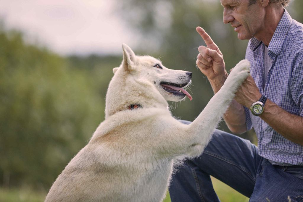 Man and white dog