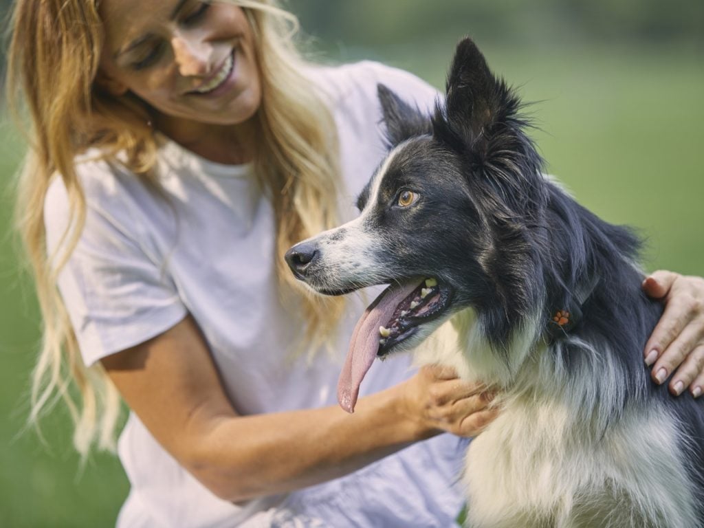 Woman with Border Collie wearing a PitPat Dog Activity Monitor