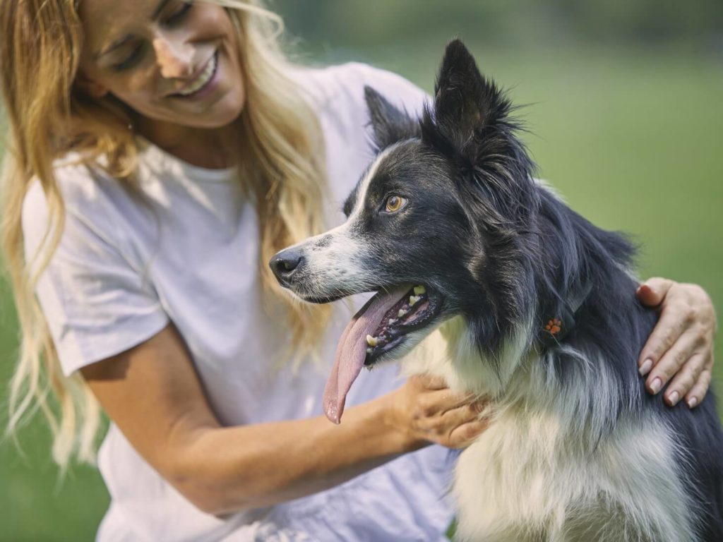 Woman stroking a Border Collie