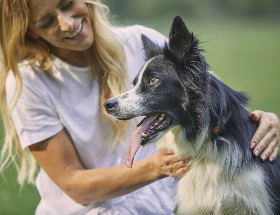 Woman stroking a Border Collie