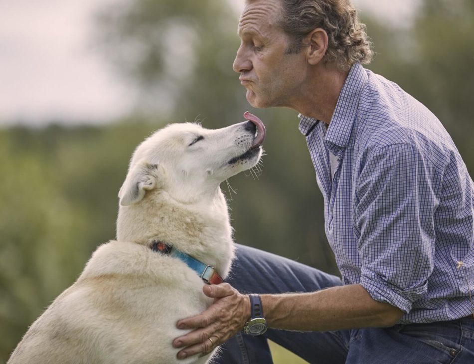 White dog licking an older man's face wearing a PitPat Dog Activity Monitor