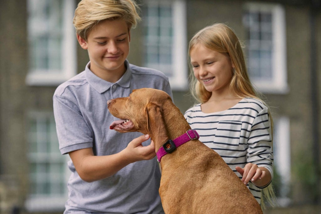 Boy and girl with a Hungarian Vizsla wearing a PitPat Dog Activity Monitor 