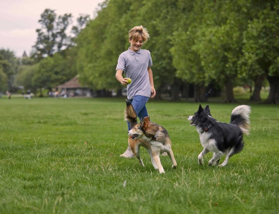 Boy running with dogs