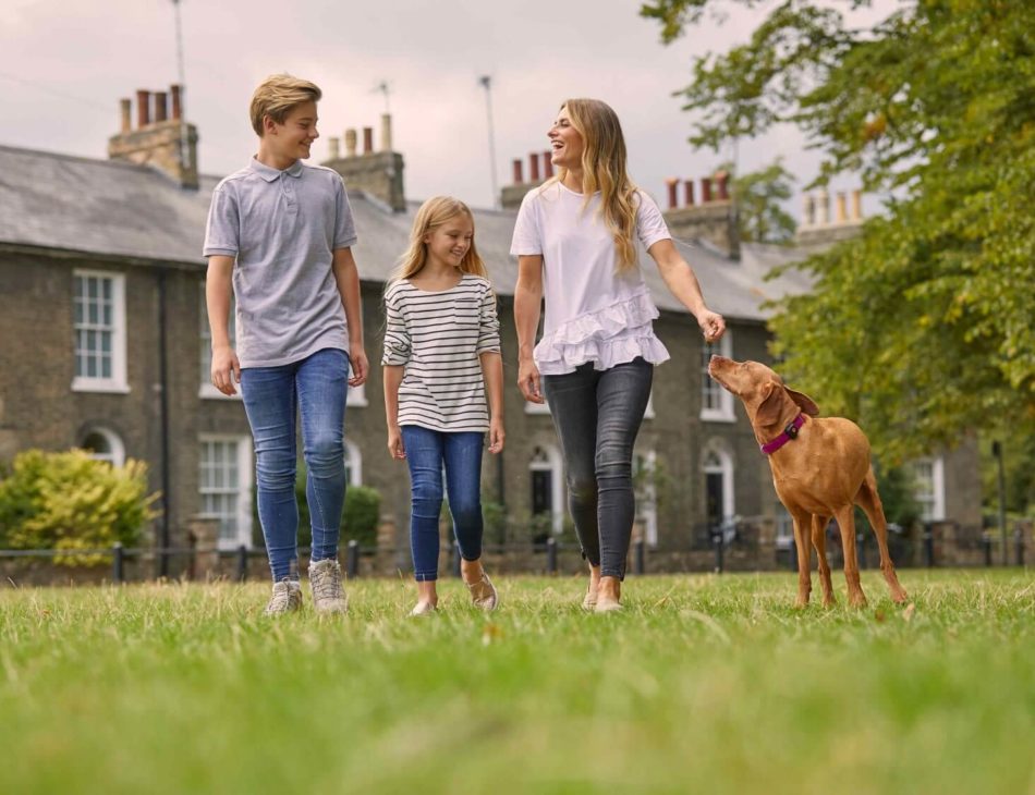 Family walking a Vizsla dog