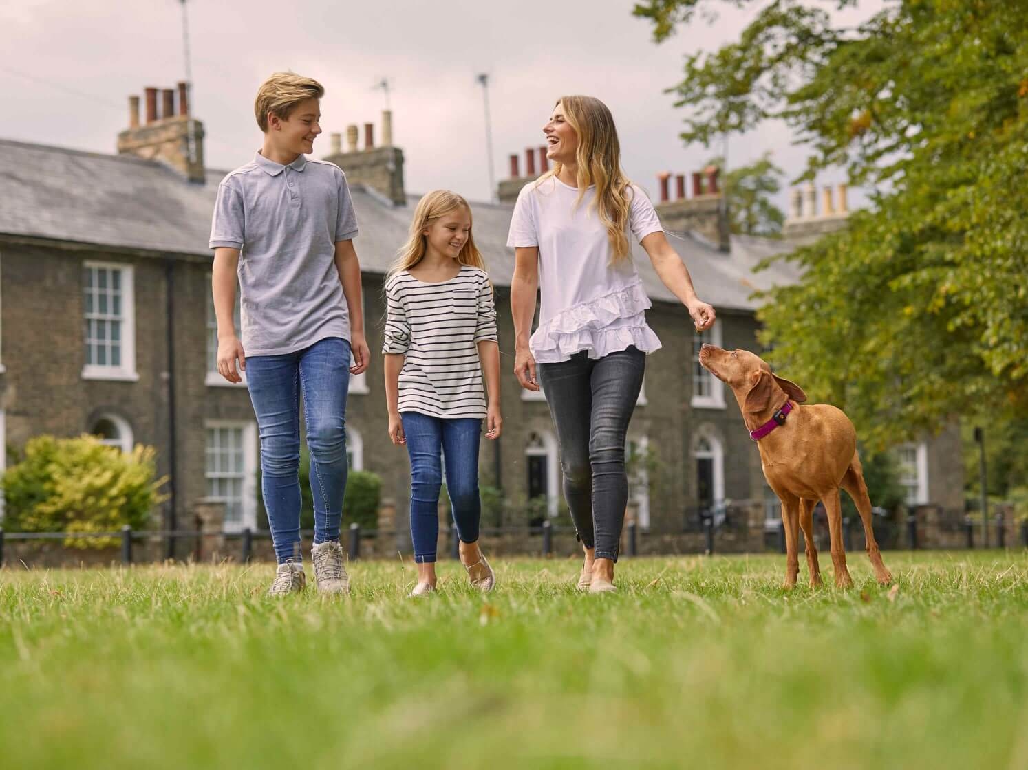 Family walking a Vizsla dog