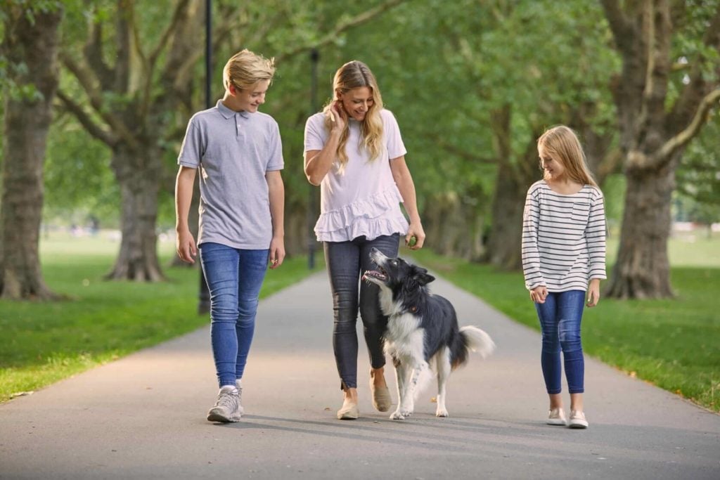 Family walking a Border Collie