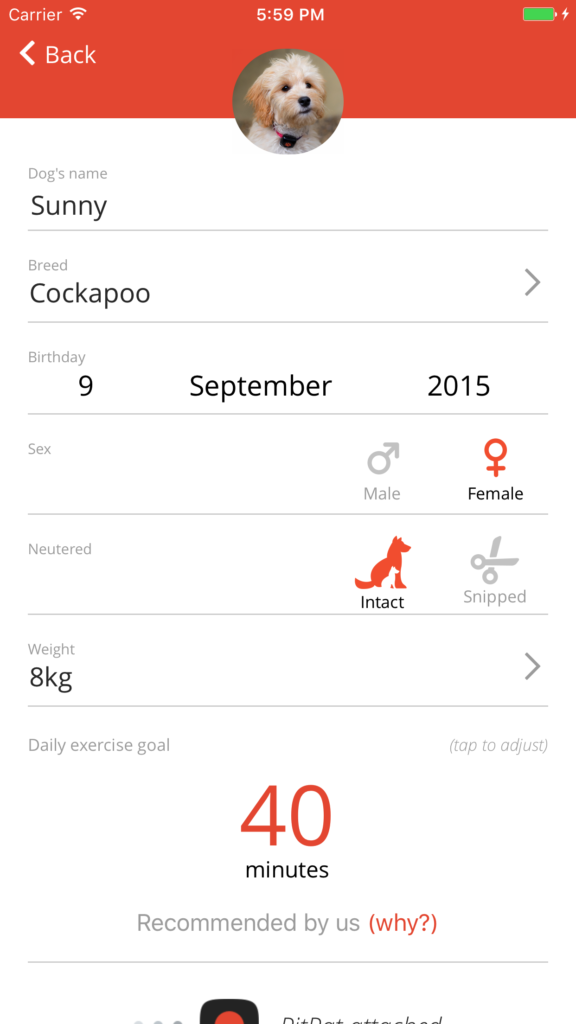 PitPat app sign up page