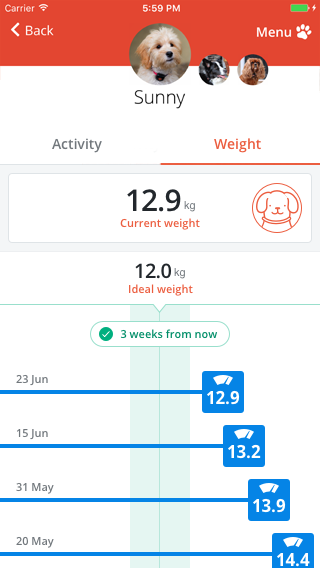 PitPat app weight screenshot
