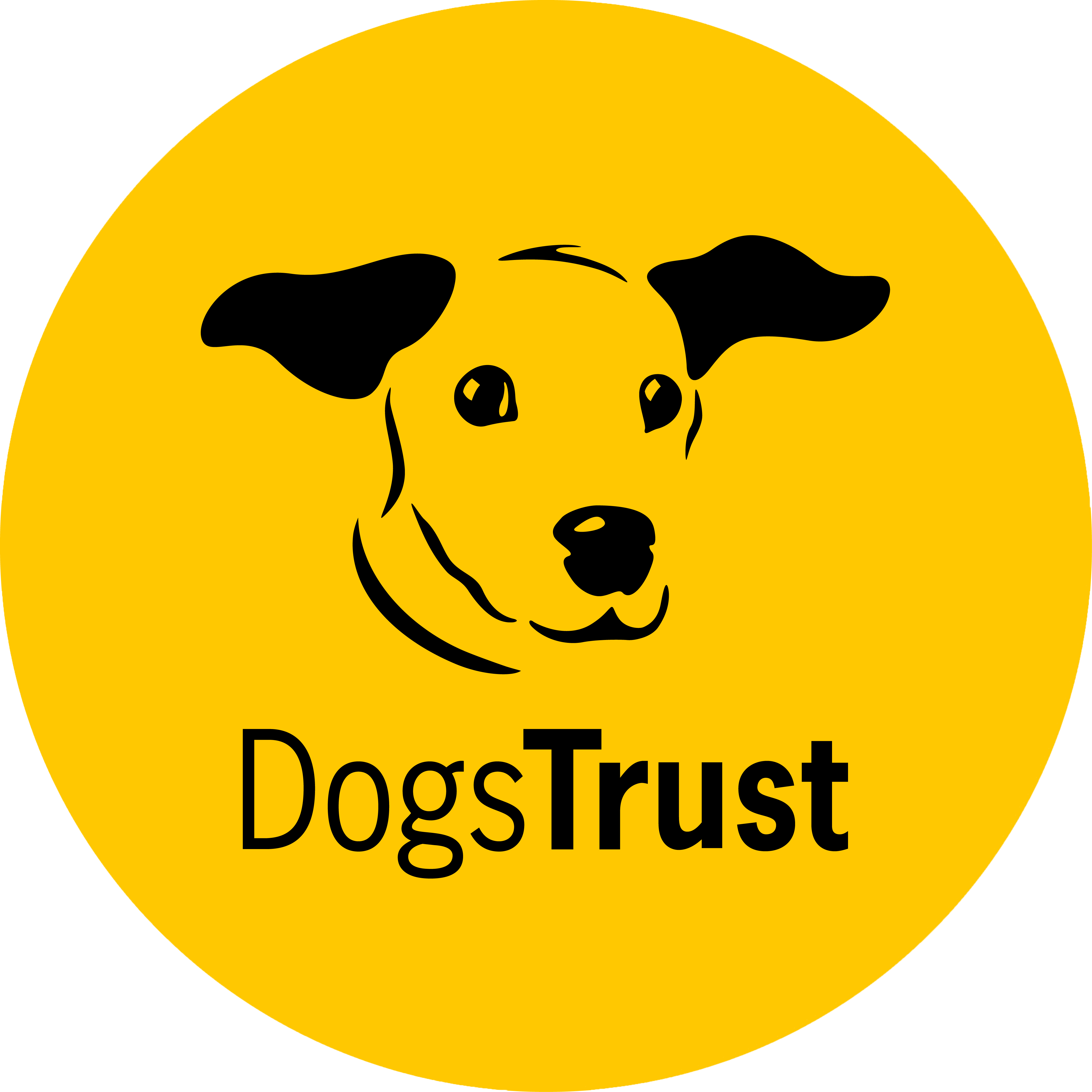 PitPat and Dogs Trust collaborate to help the UK's dogs