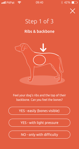 dog body condition scoring