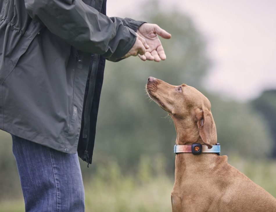 Man with a dog