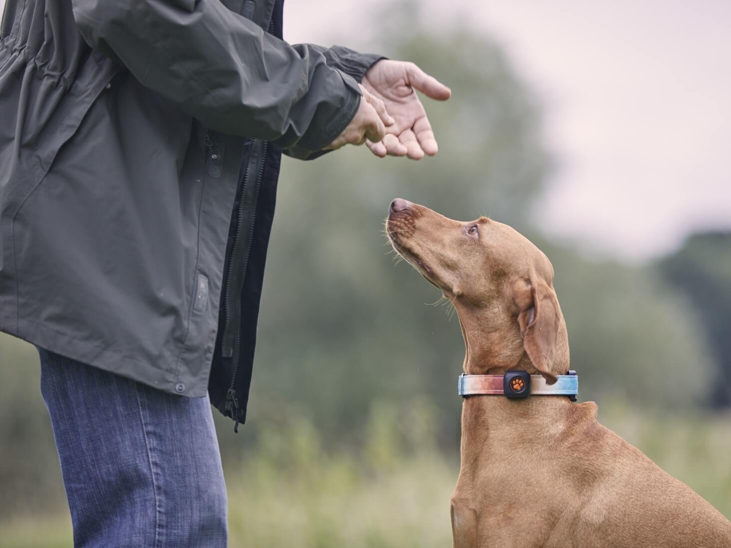 Man with a dog