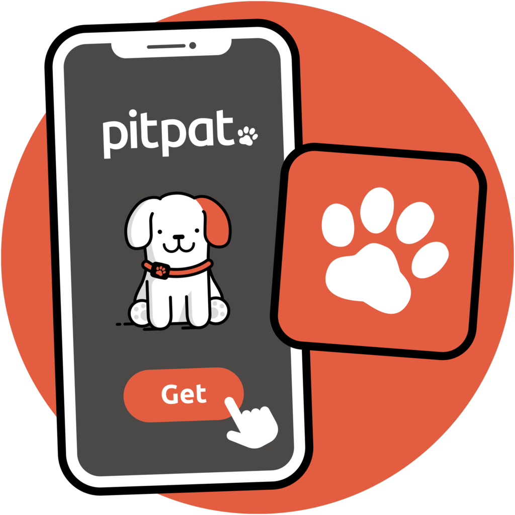 PitPat app icon