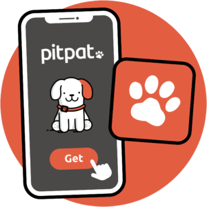Icon showing the PitPat app and dog activity monitor