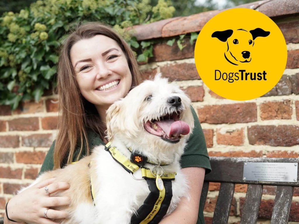 Dogs trust employee with a rescue dog on her lap