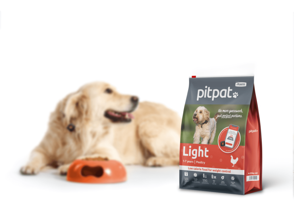Retriever eating with PitPat Light on side