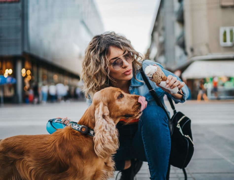 Cocker Spaniel and women in city
