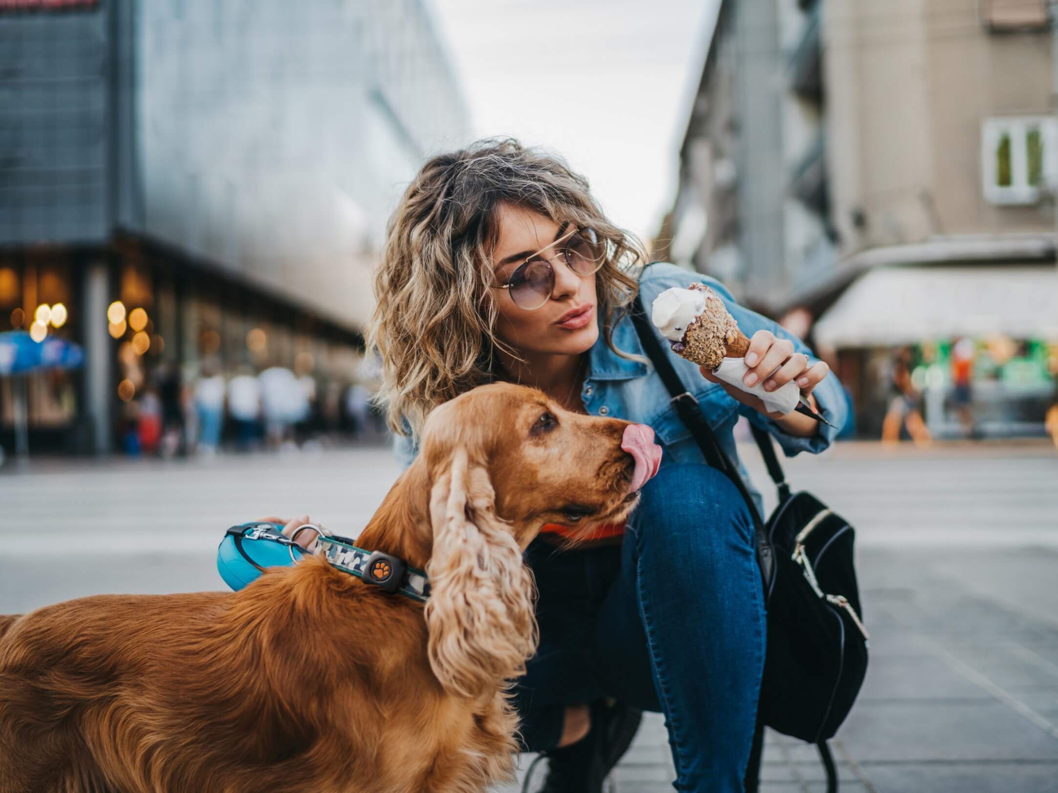 Cocker Spaniel and women in city