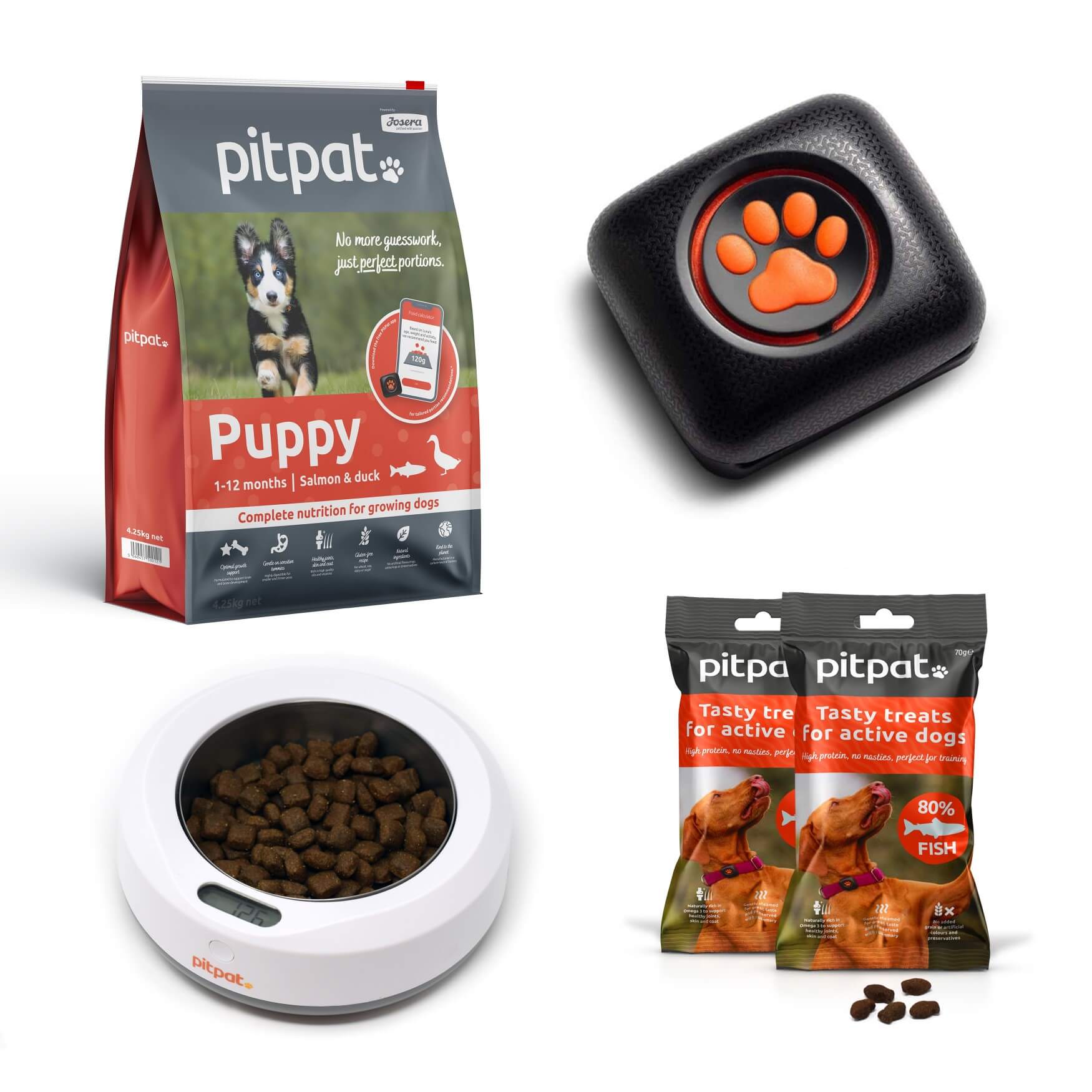 Puppy Starter Pack PitPat