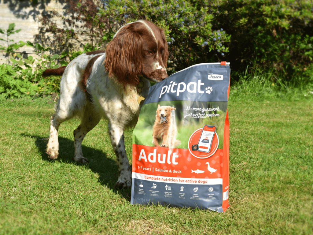 Sprocker with bad of PP Adult