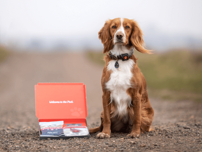 Sprocker sat with PitPat packaging