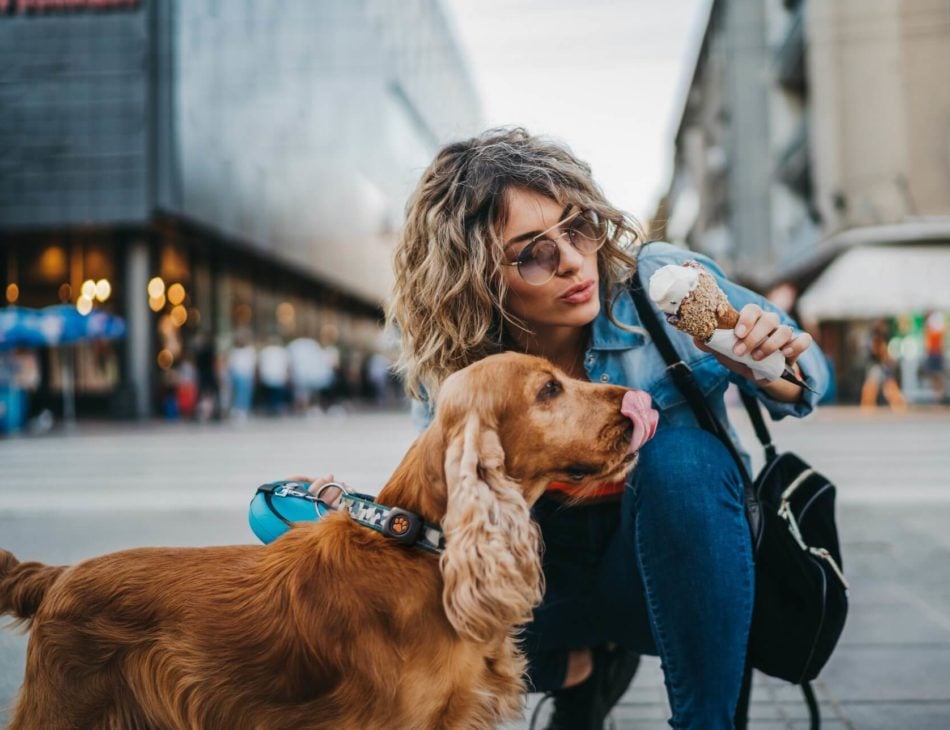 Woman feeding dog an ice cream