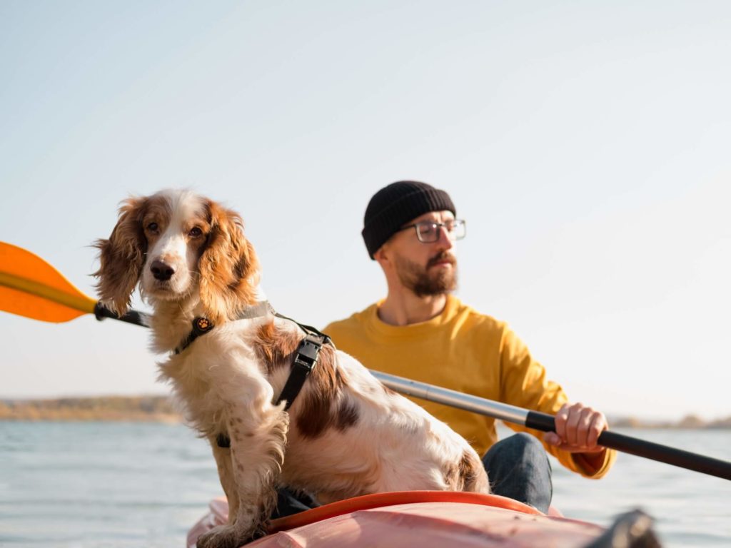 Man on a kayak with spaniel