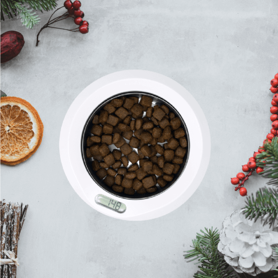 PitPat weighing bowl on a festive background