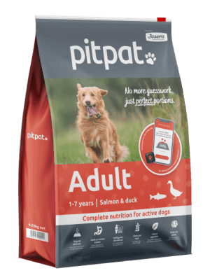 PitPat Adult Dog Food