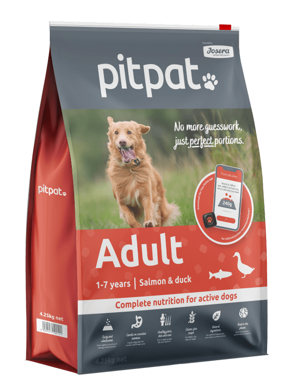 PitPat Adult Food