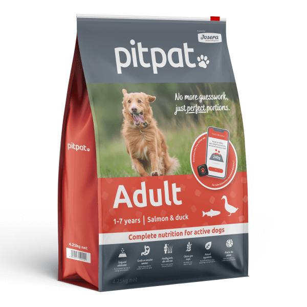 PitPat Dog GPS Tracker With No Subscription - PitPat