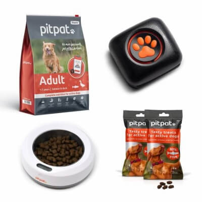 PitPat Adult Starter Pack