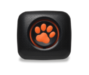 PitPat Dog Activity Monitor